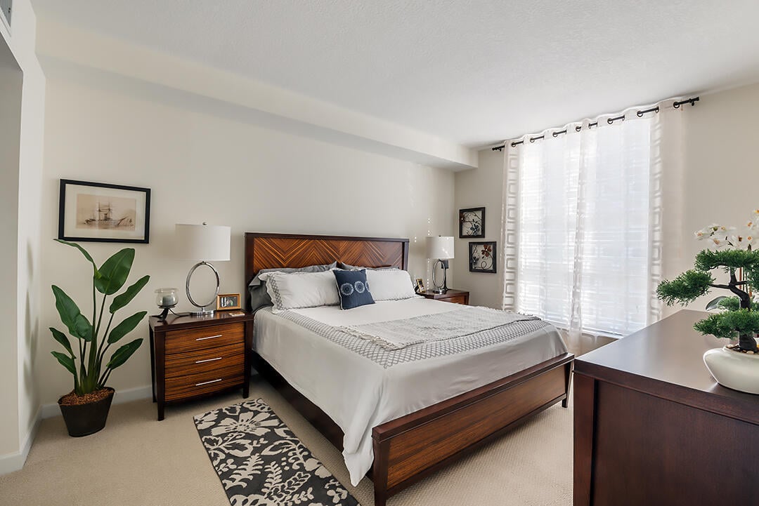 City Palms Unit 225 photo 4