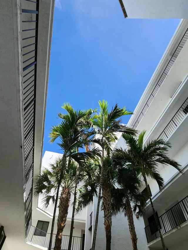  Unit 205n photo 8
