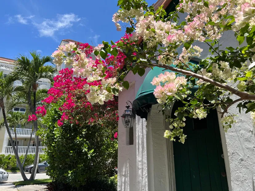 335 Cocoanut Row — photo 2