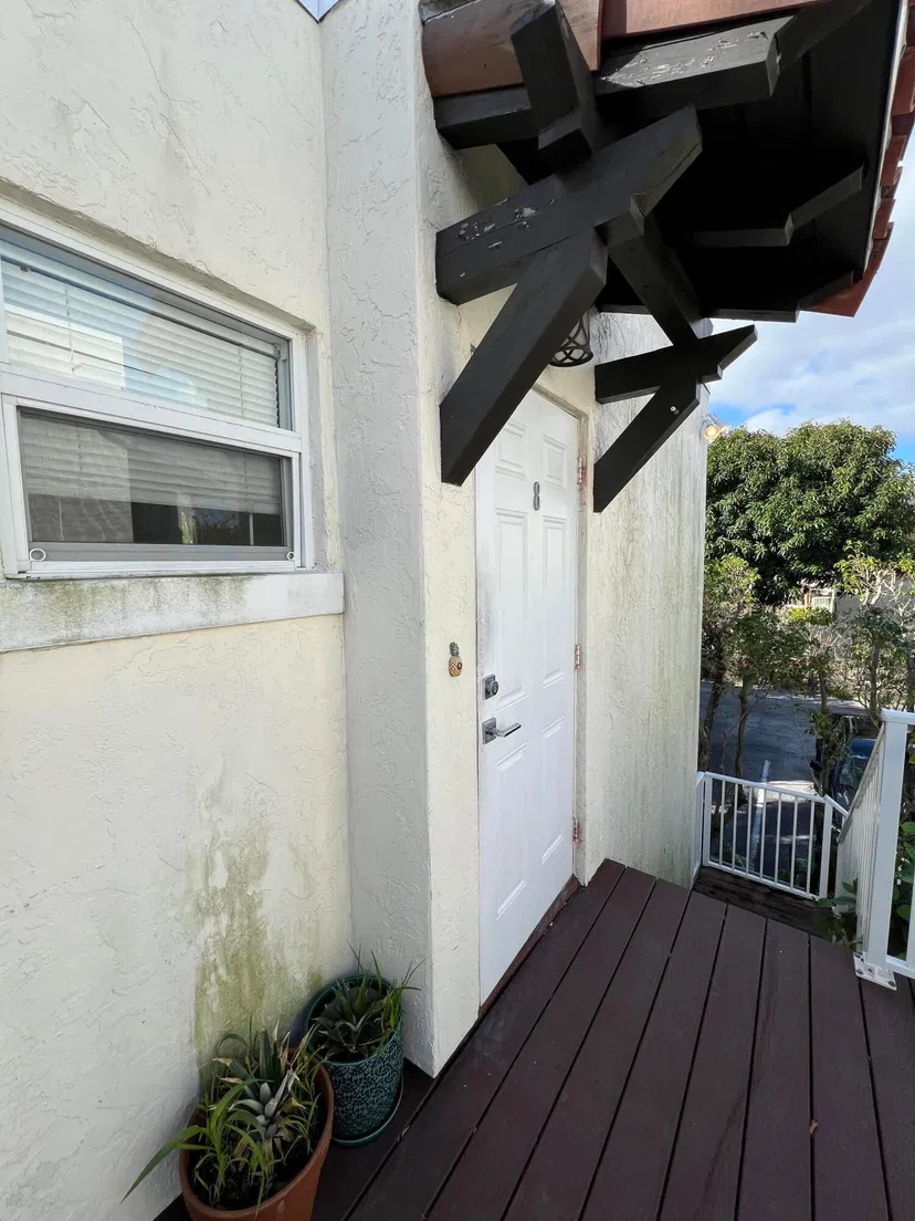 252 Oleander Avenue #8 — photo 4