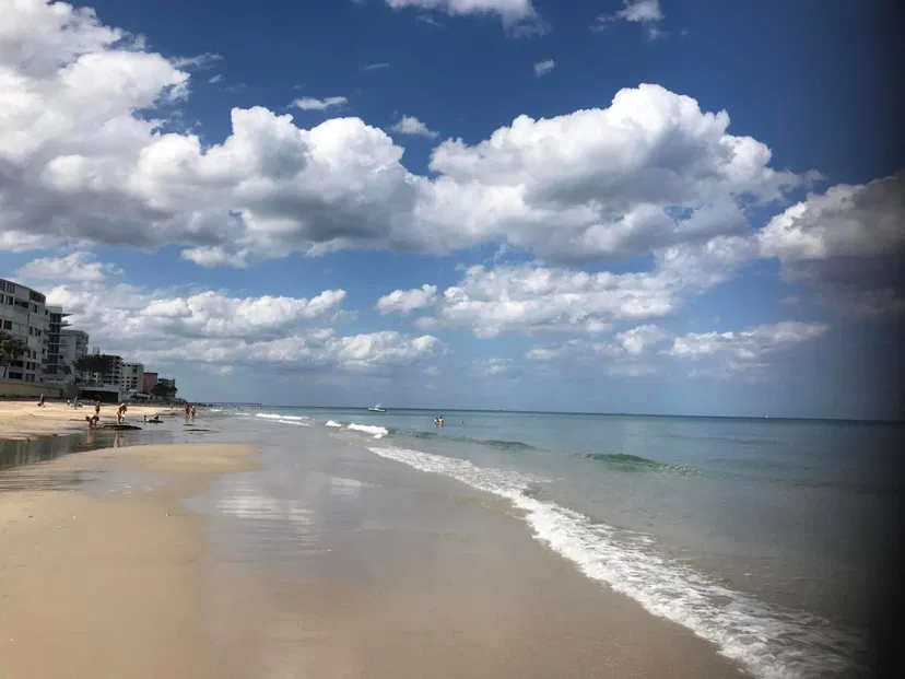 3610 S Ocean Boulevard #311 — photo 4