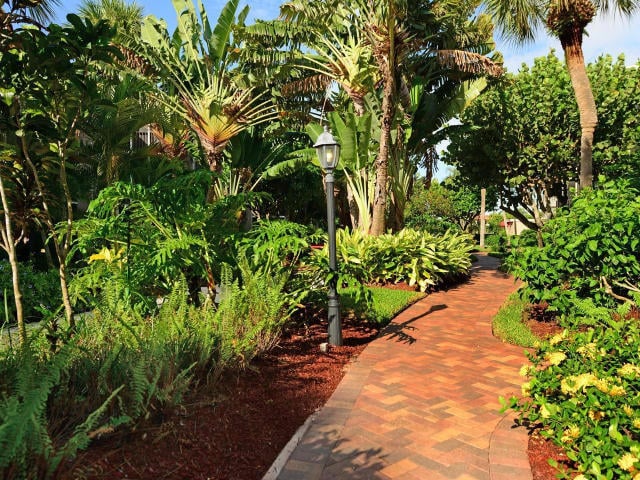 3605 S Ocean Boulevard #434 — photo 4