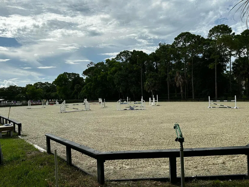 Pinewood