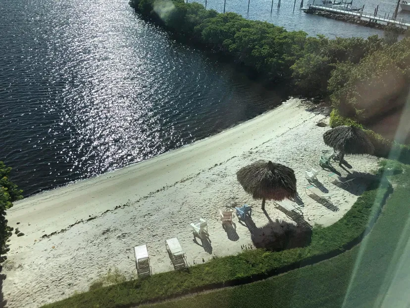 Unit 305