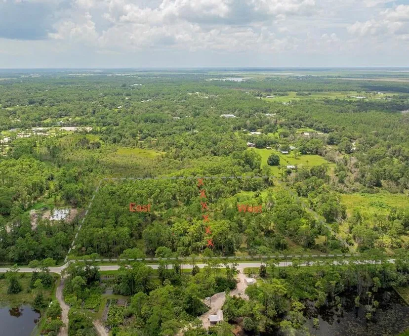 Palm City Farms