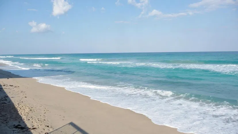 The Patrician of Palm Beach Unit 223