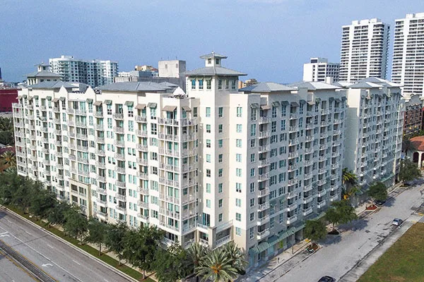 City Palms — Downtown West Palm Beach